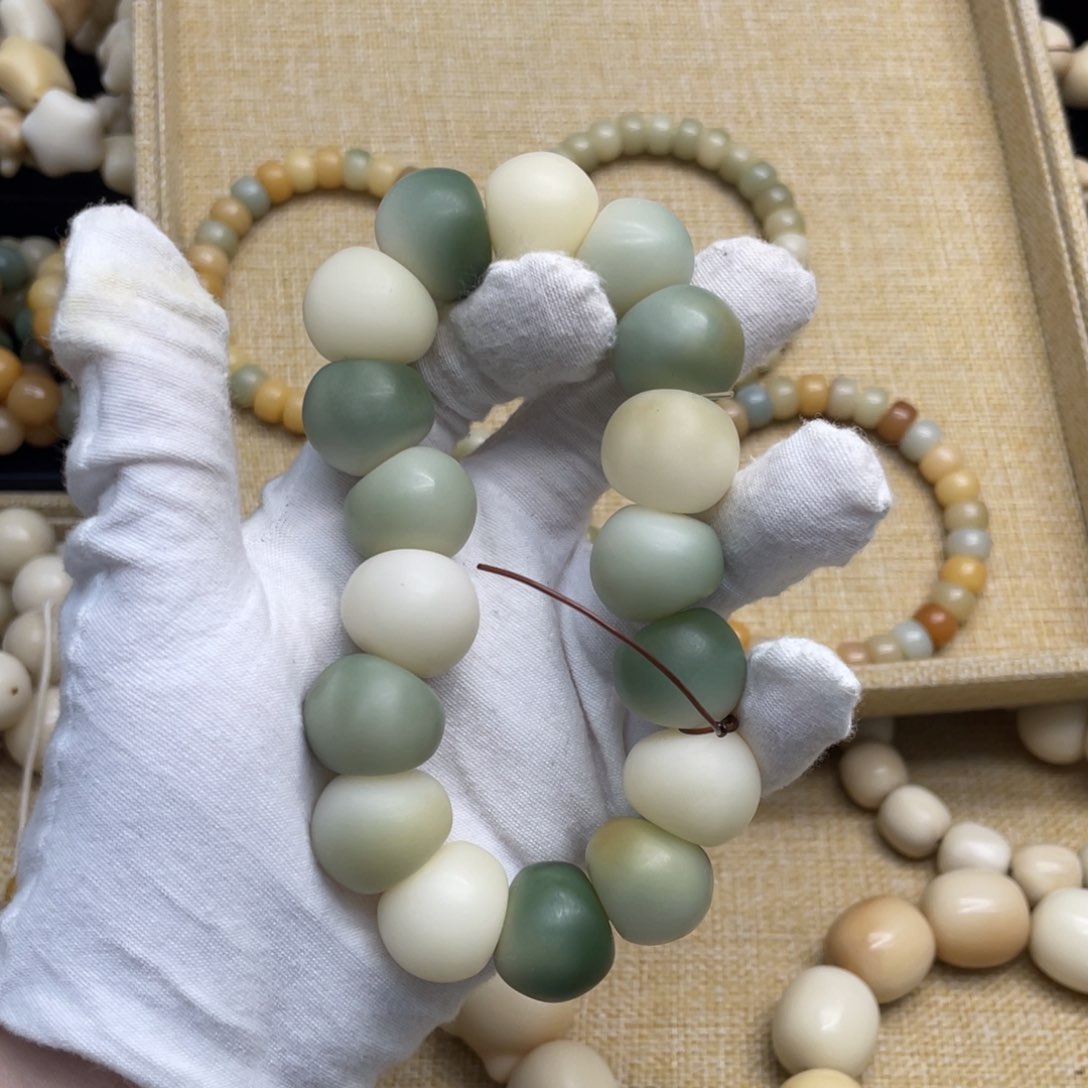 菩提根/象牙果吊坠20干磨微瑕多宝肠759