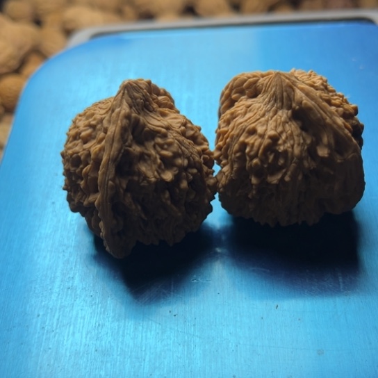 ࿐****银S9251234567890