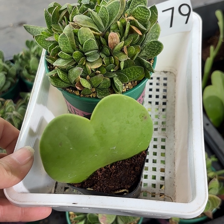 179。   一筐组合发货