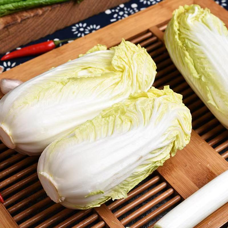 甘肃省祁连山脉高原黄心娃娃菜