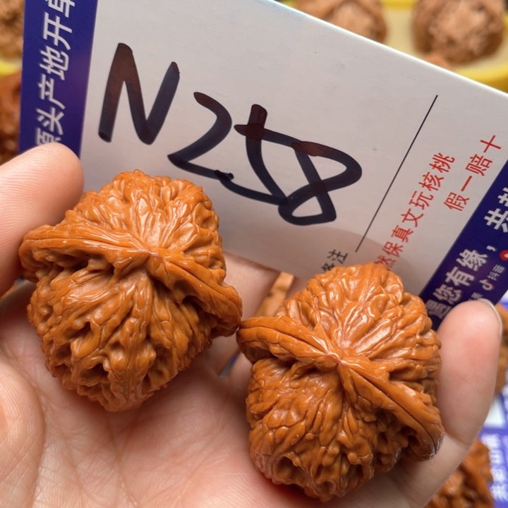 文玩核桃把件白狮子37尺