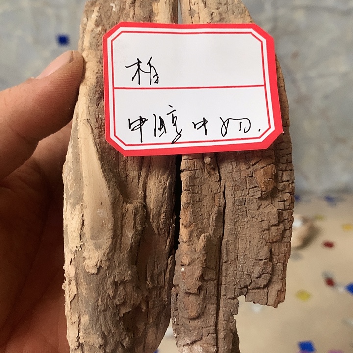 柏***鉴大叶紫檀（黑酸枝木类）