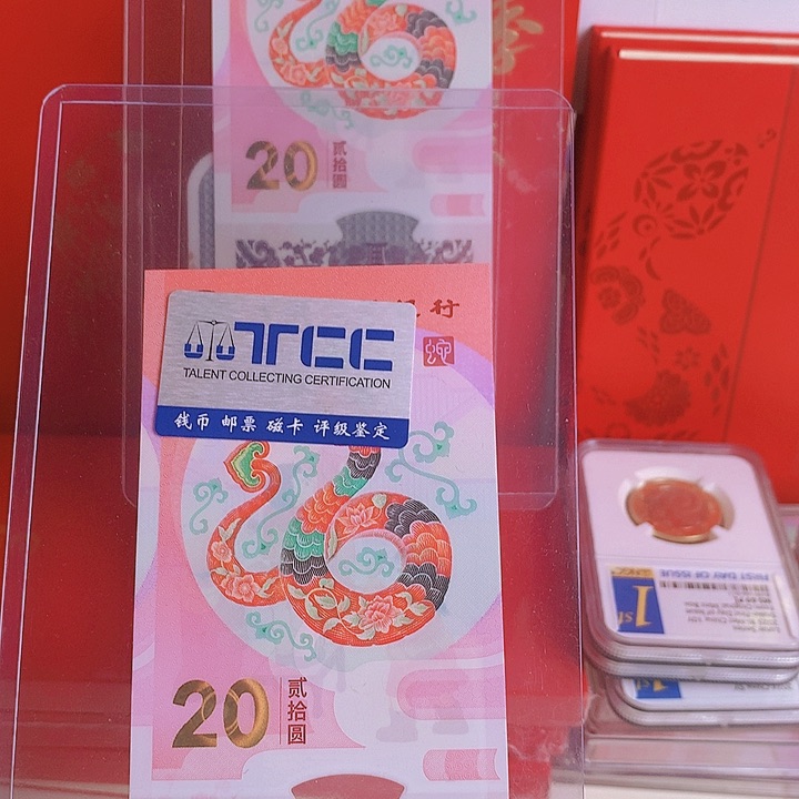 塑料2025蛇钞076502937