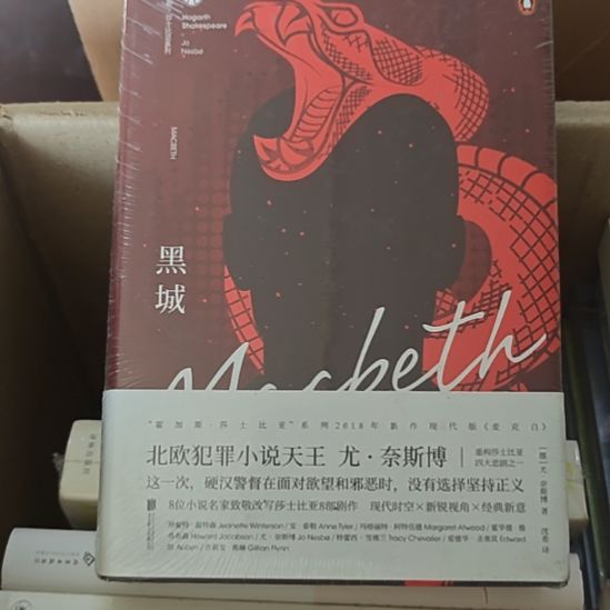 黑城精装塑封库存书有小氧化