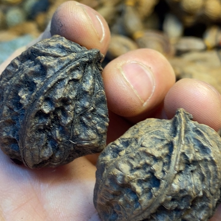 桃核吊坠娜姐真的93