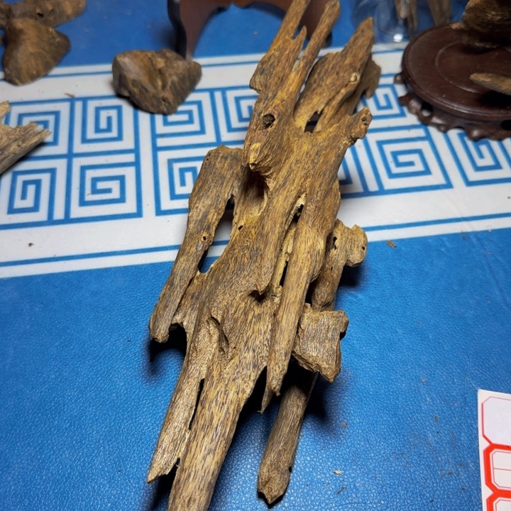 木质绿奇陆河虫漏160克