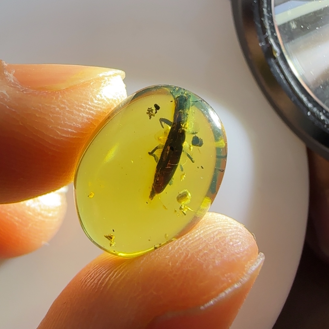 未镶嵌琥珀裸石虫珀标本