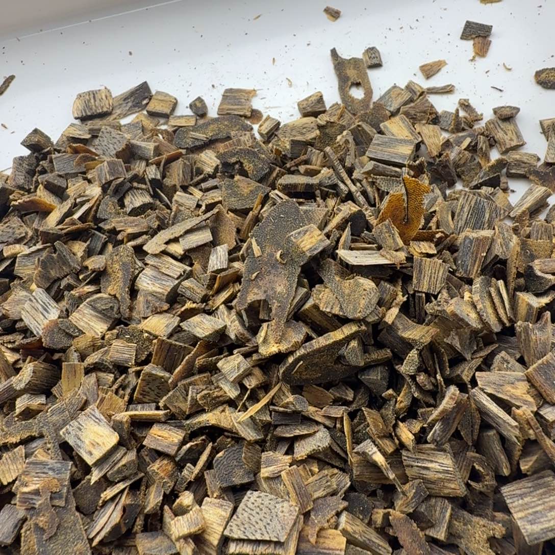 香料棋楠金沙叶高品质老料50克