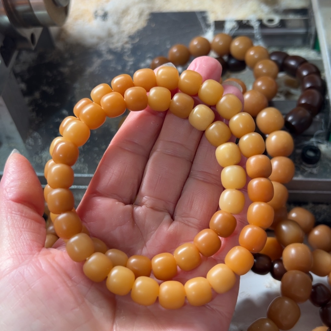 蓝***吊坠菩提根/象牙果