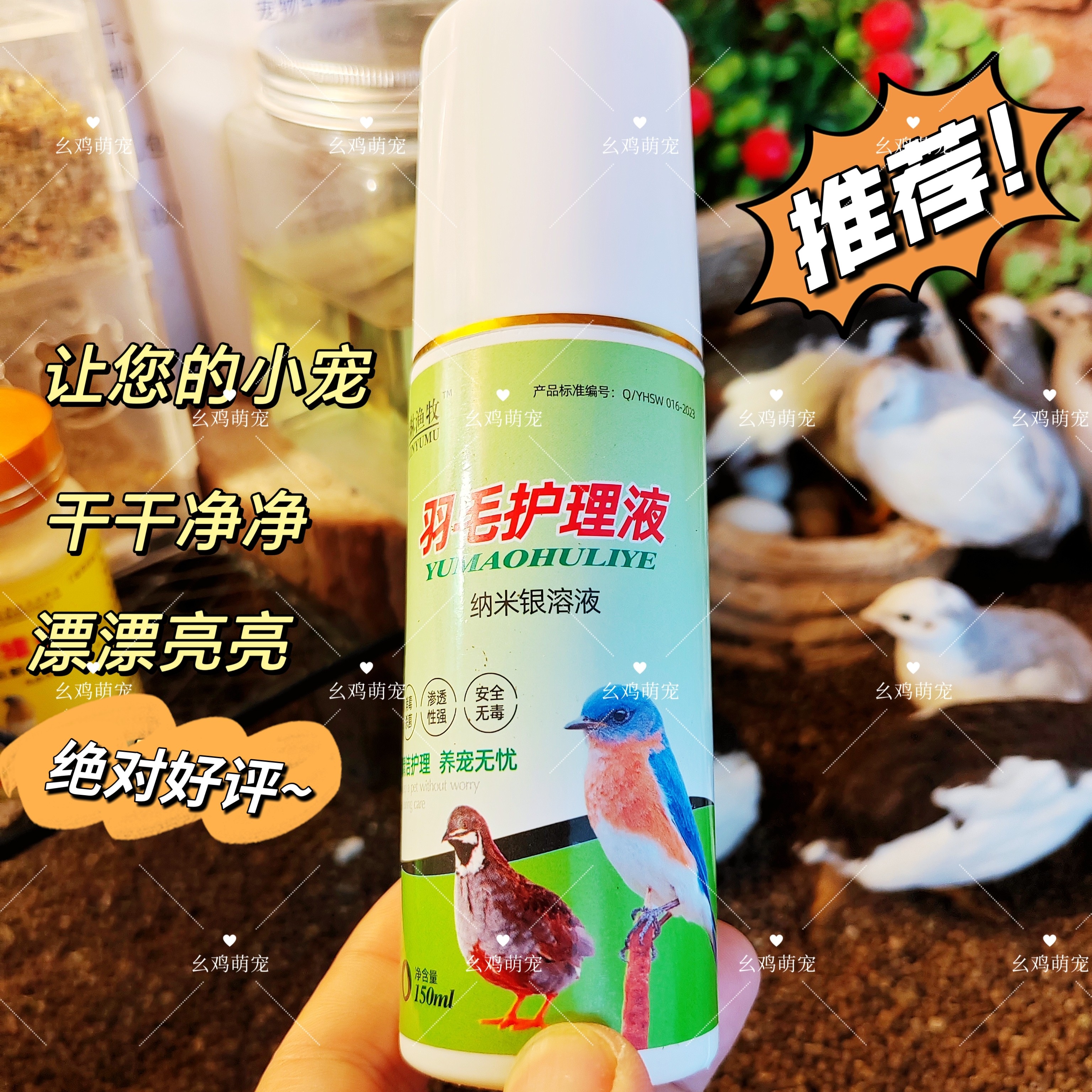 芦丁鸡用消毒杀菌剂宠物鹌鹑鹦鹉猫狗通用羽毛护理液纳米银护理液