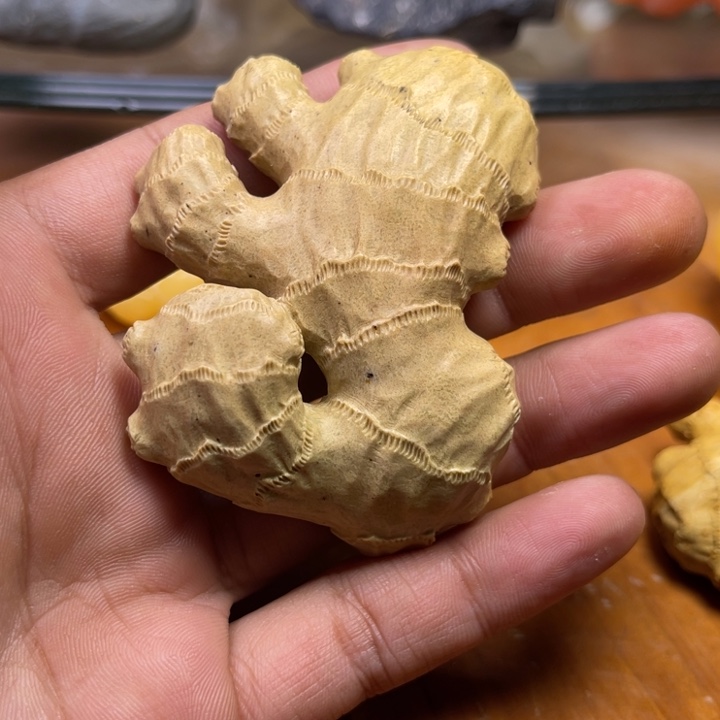 青田石螢****光1111111111111111111