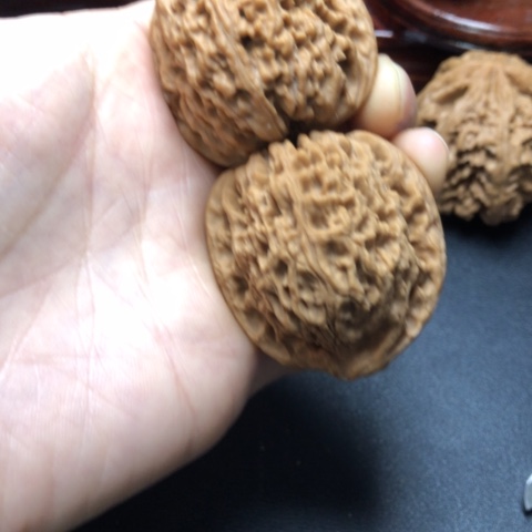 大叶紫檀（黑酸枝木类）南**天