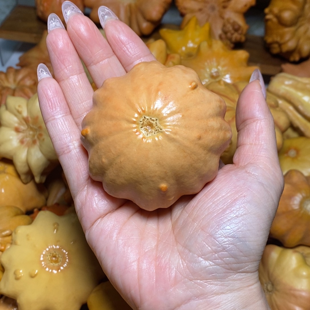 陈***皮花花放漏送油不退不换