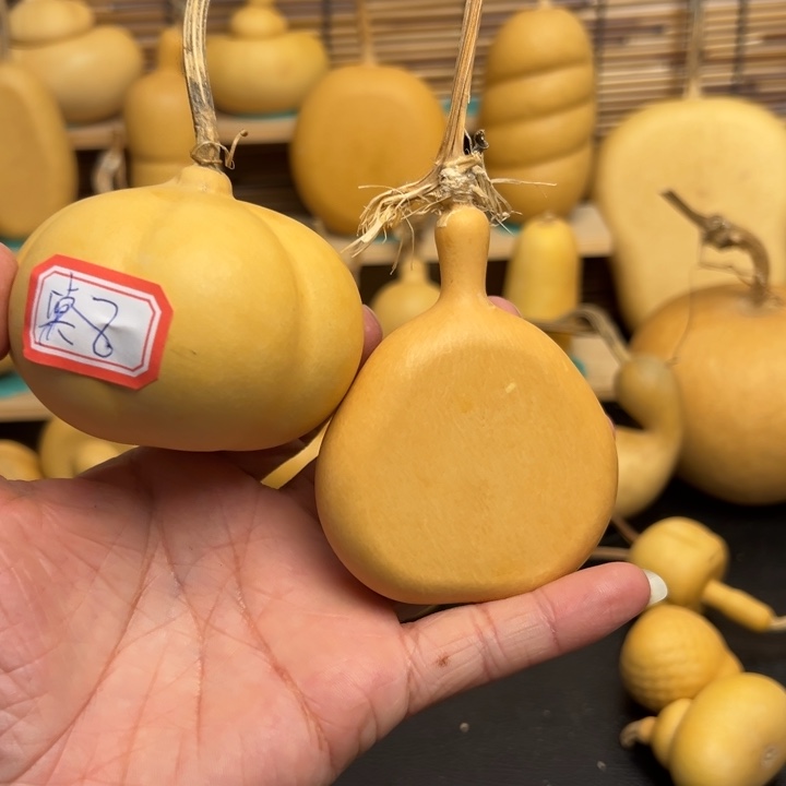 ?*棠葫芦葫芦葫芦葫芦葫芦葫芦葫芦