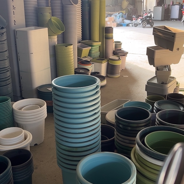 瑕疵四季盆7号浅蓝色发8个