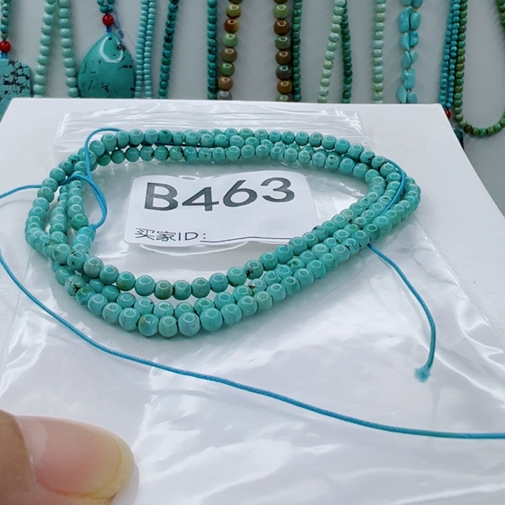 绿松石未镶嵌颈饰