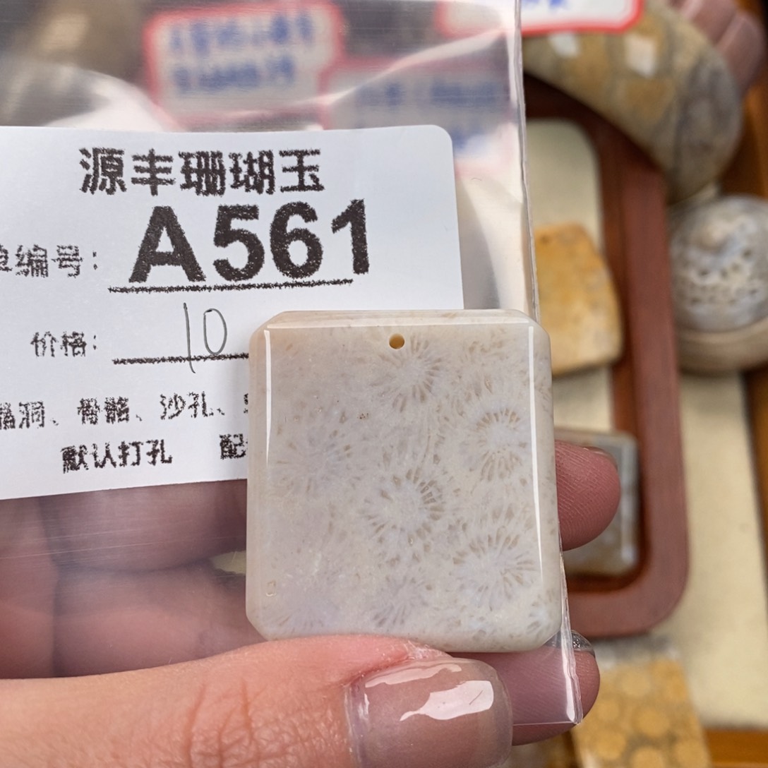 硅化玉颈饰未镶嵌E****g