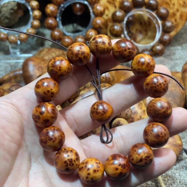 柏木（崖柏）其他1.5