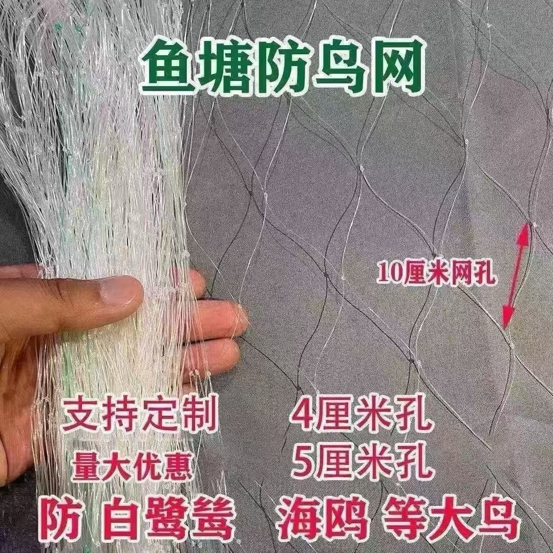 鱼塘防鸟网尼龙专用鱼虾泥鳅青蛙防护白鹭天网加粗型尼龙网