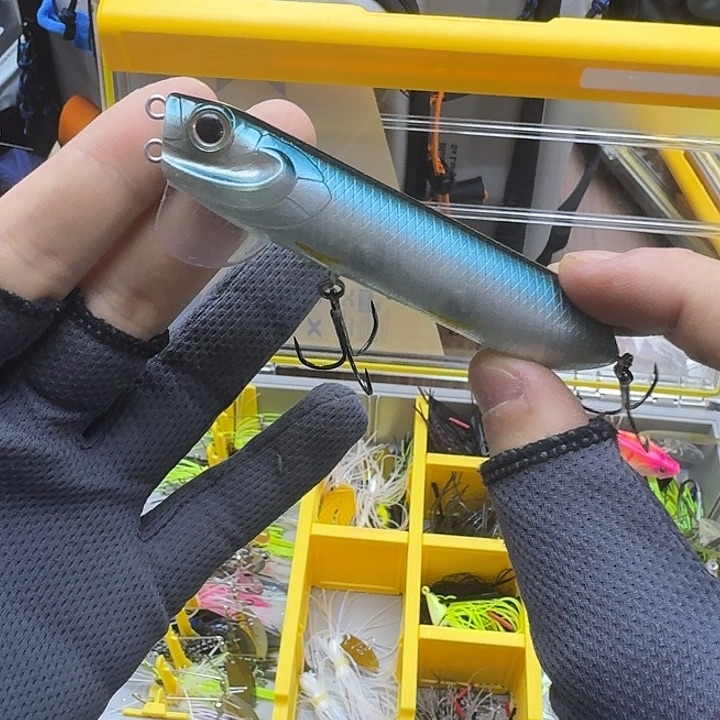 闪购专拍（图片为主）