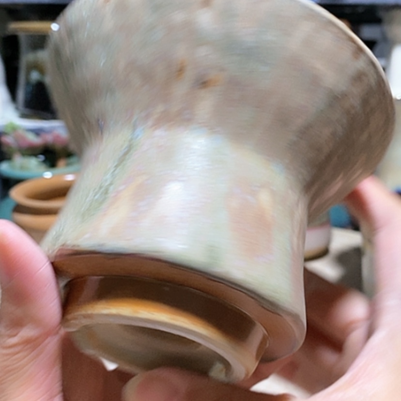 【闪购商品】红陶口12