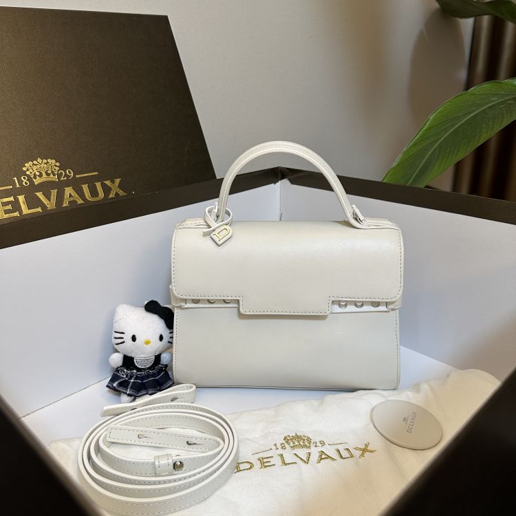 99新 Delvaux/德尔沃 单肩包/C8853726178/[251227SSS]
