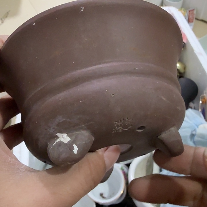 祝***康扇子吃g给哥哥vvvvvvv规划