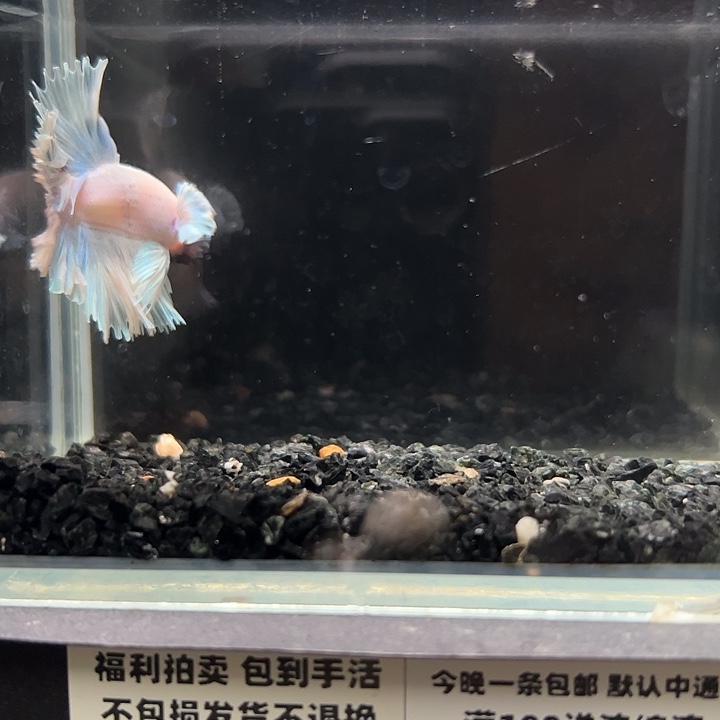 斗鱼跑单拉黑7日3