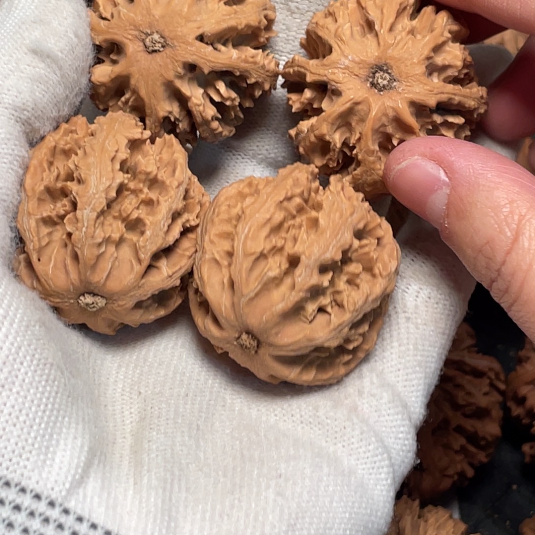 有***了把件桃核5 秦岭灯笼野生小众