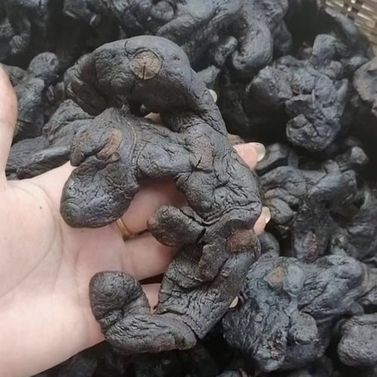 1 湖南湘西现场收土货