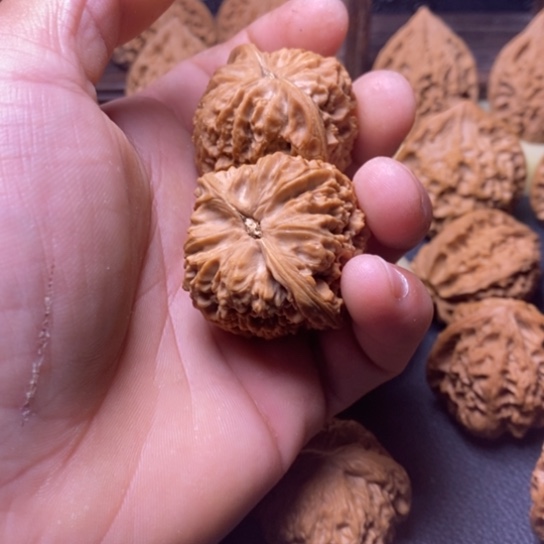 文玩核桃全品南疆40