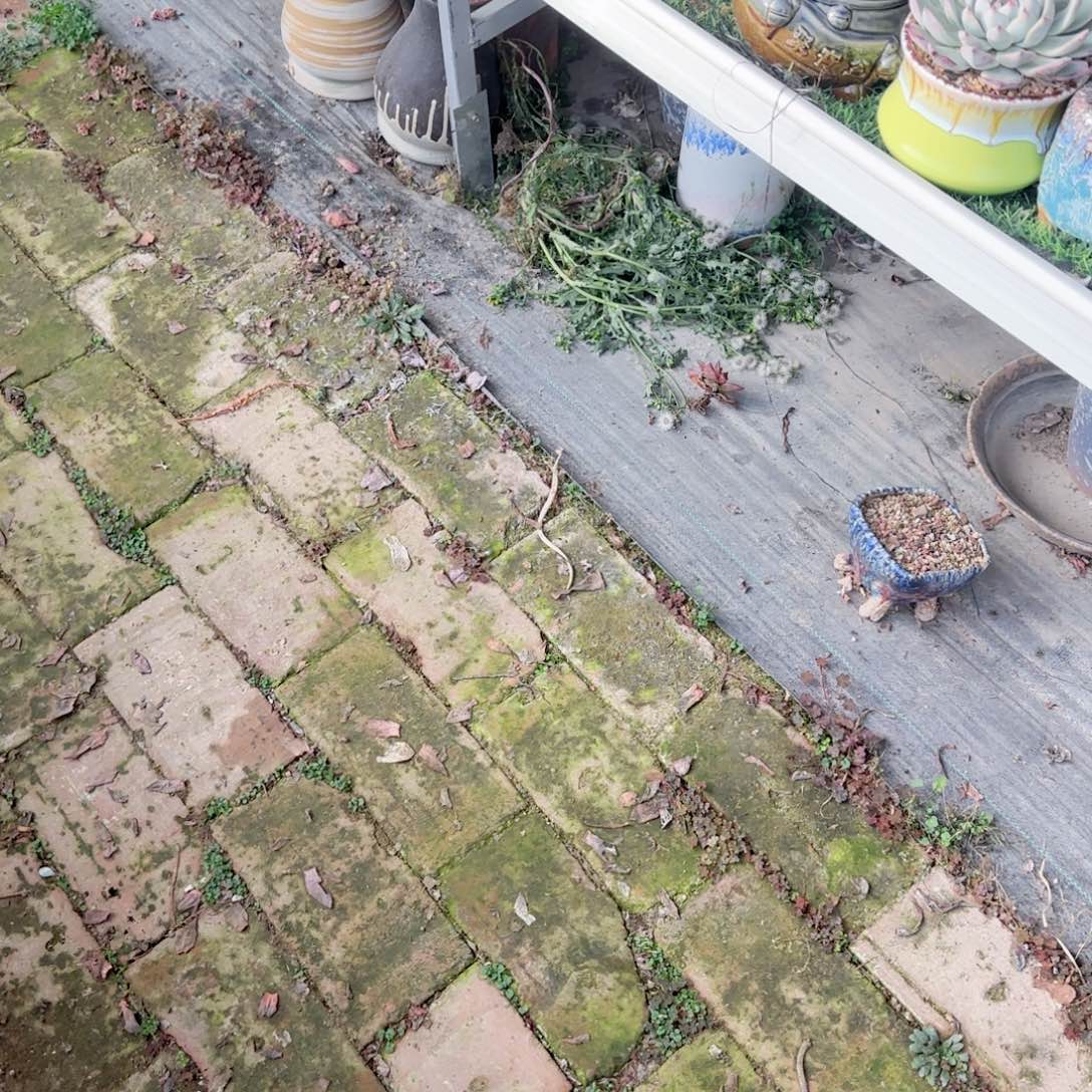 雨****无花朵一袋多肉土