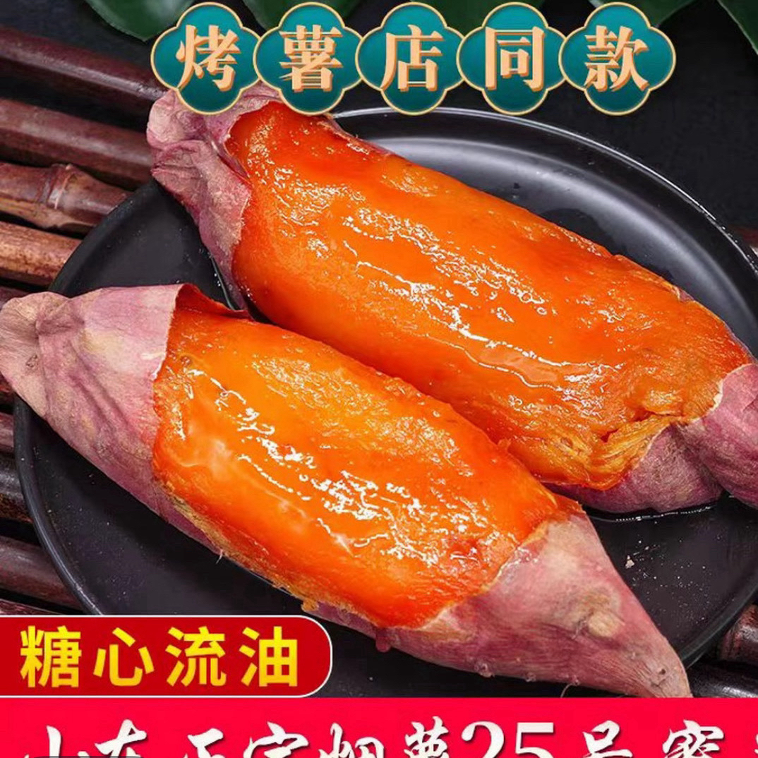 山东真烟薯25号净重5斤烟薯25号山东省