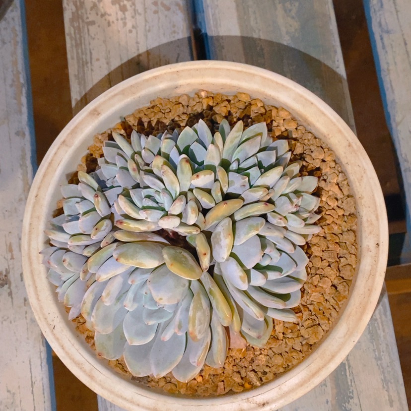 【闪购商品】?***?1111111