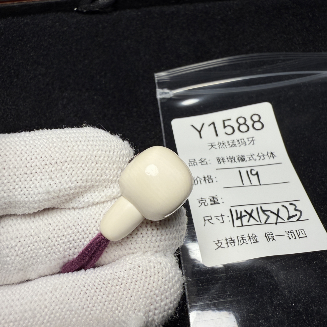 Y1588天然猛犸象牙藏式分体三通胖墩分体14*15*23mm
