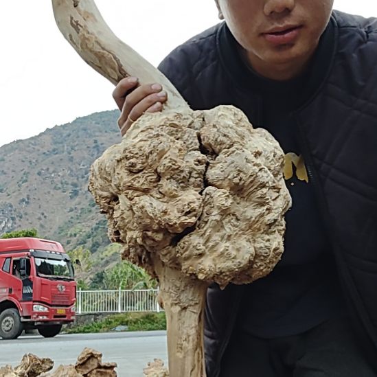 豹***9女韩国代购的话题你和你