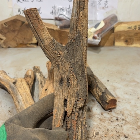 大果紫檀（缅甸花梨）紫****）