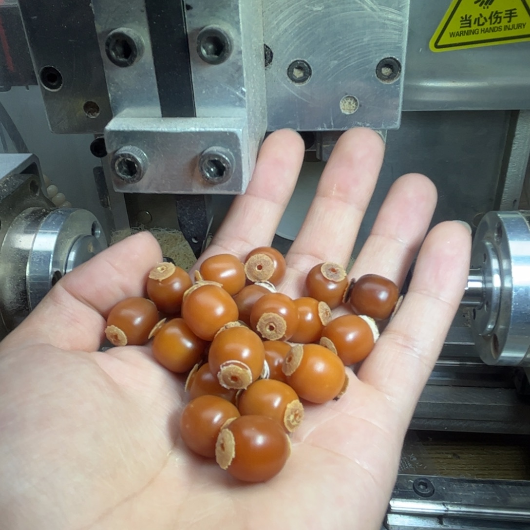 家***宝吊坠菩提根/象牙果