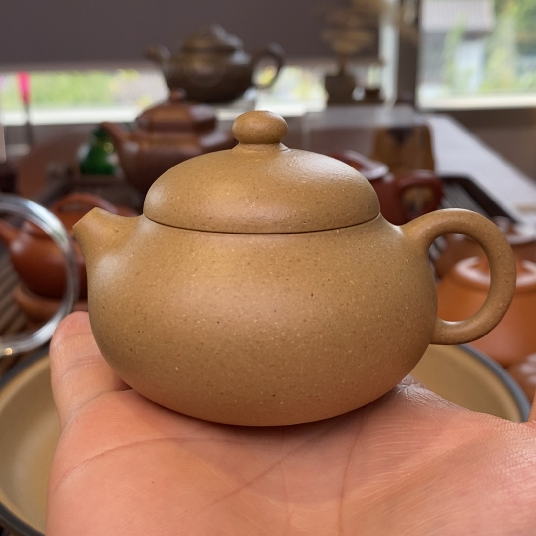 茶壶紫砂拾珍堂梨皮小文旦