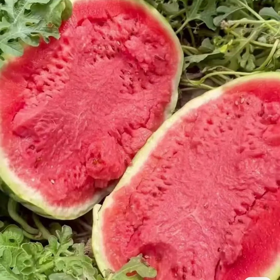 新疆大西瓜（2/5斤）西瓜同城送西瓜同城配新疆维吾尔自治区