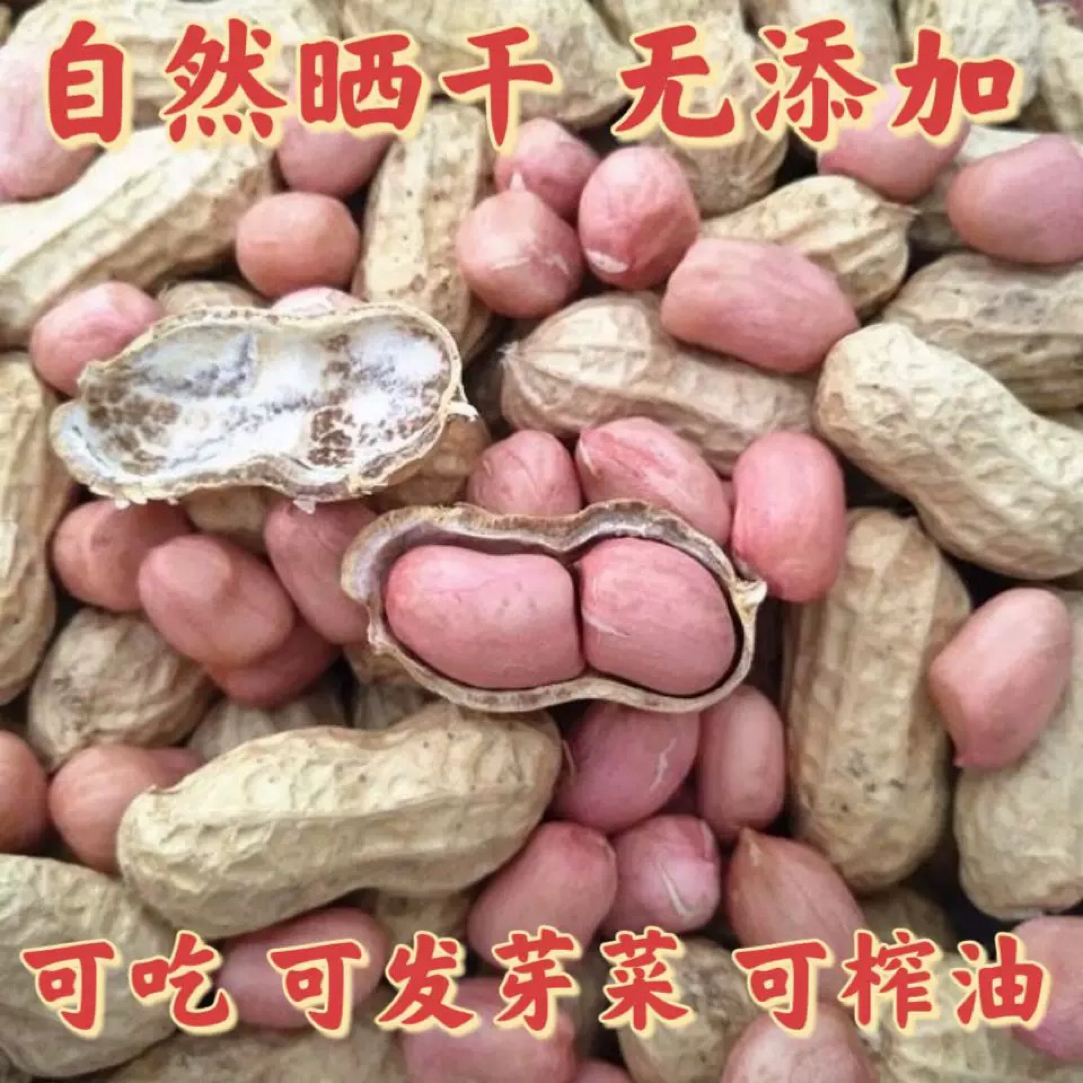 晒干花生带壳生花生自然晒干带壳批发榨油饱满甘甜当季新鲜花生