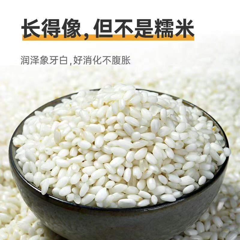 【云南农家贡米】全胚芽米农家新货精选品质正宗杂粮营养健康