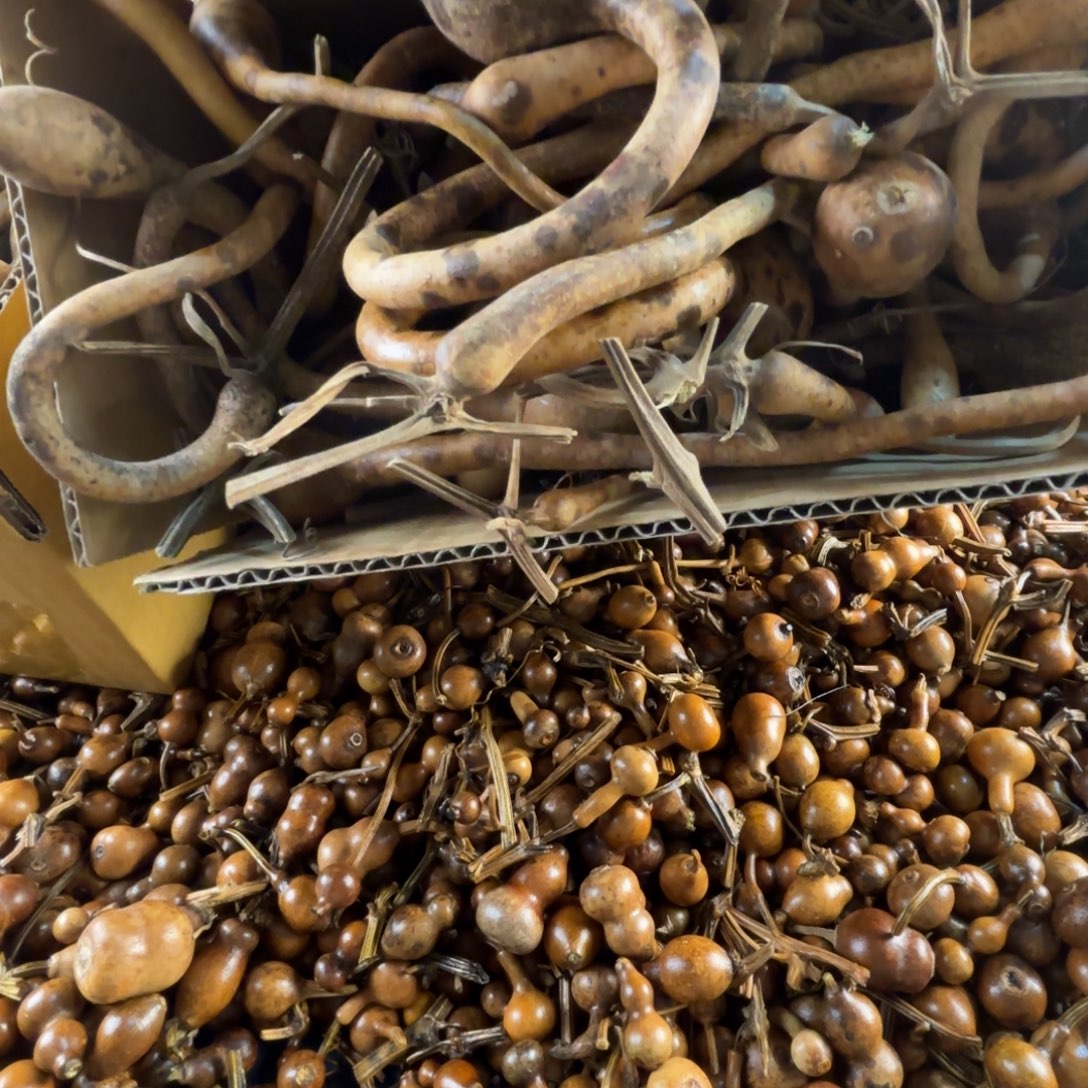 h***壳木葫芦摆件葫芦摆件