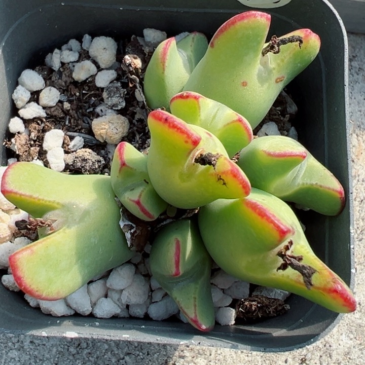 119干111111111111111