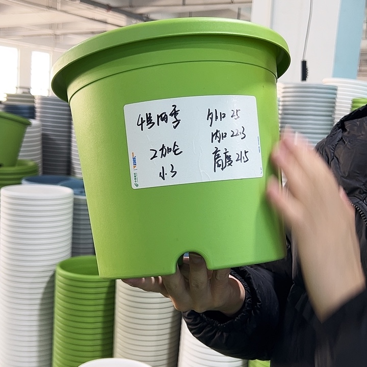 特价4号四季口25高21.5果绿无托8只