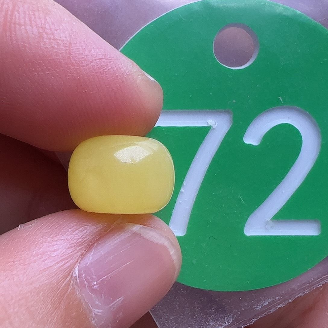 蜜蜡未镶嵌珠宝奇石10.8m m