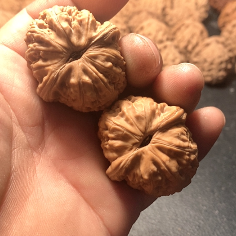 【闪购商品】有*米元宝