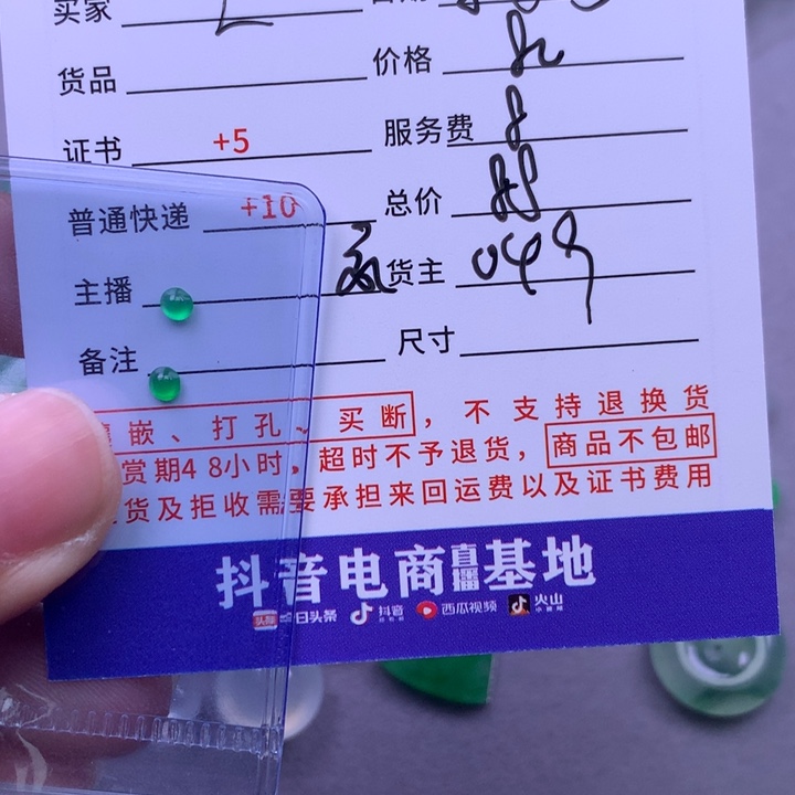 颈饰未镶嵌翡翠L*