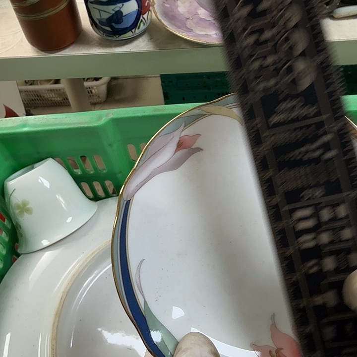 杯开播啦…开播啦