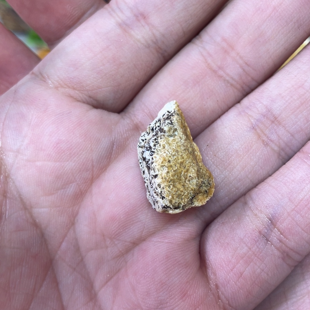 7***c定制琥珀天然琥珀